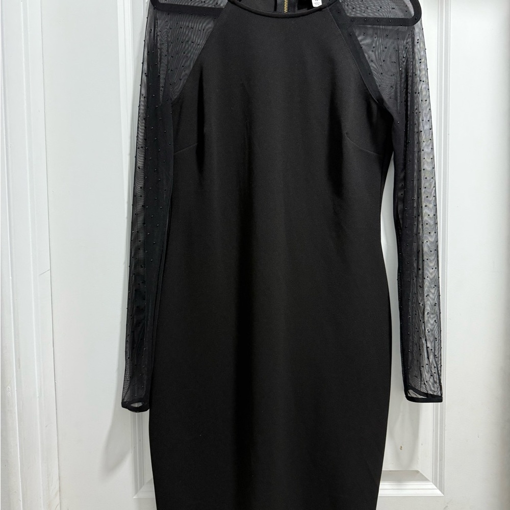 Premier Black Dress with Sheer Long Sleeves